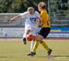 IMG_8935-1.jpg